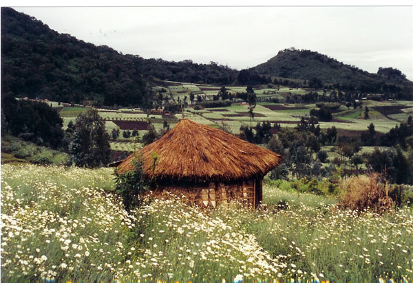 rwanda - hut at base