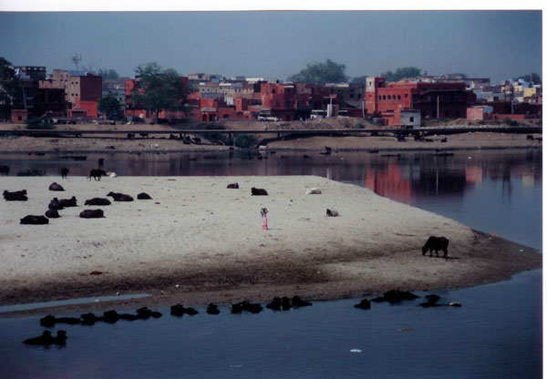 Agra - river bank