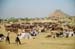 Pushkar Camel Fair - sea of camels