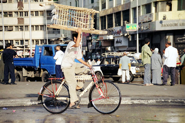 Cairo North - bike and cage