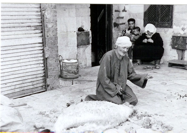 Coptic - shearing sheep BW