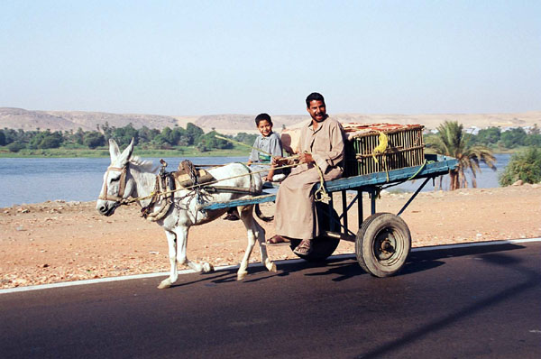 Aswan - 2 on cart