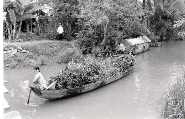 Mekhong Delta - bush boat