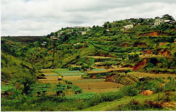 Na Trang - tiered fields