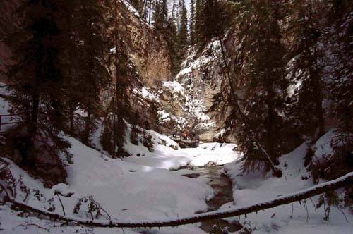 Johnson Canyon creek