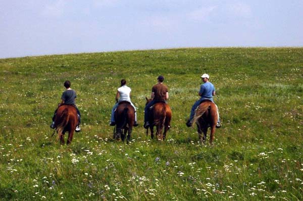 four amigos ride into sunset