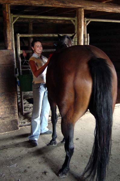 sheila grooming