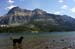 Waterton - Tasha in Lake