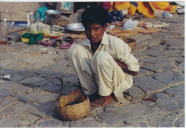 Jaipur - Moneky temple cobra kid