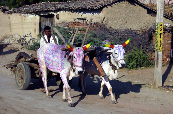 Mbike Trip - painted horse